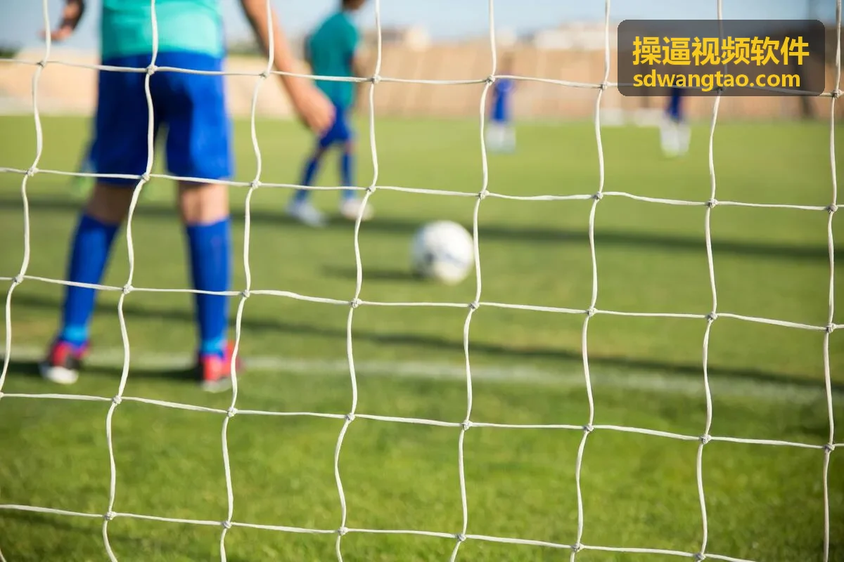 操逼视频软件内容管理界面展示