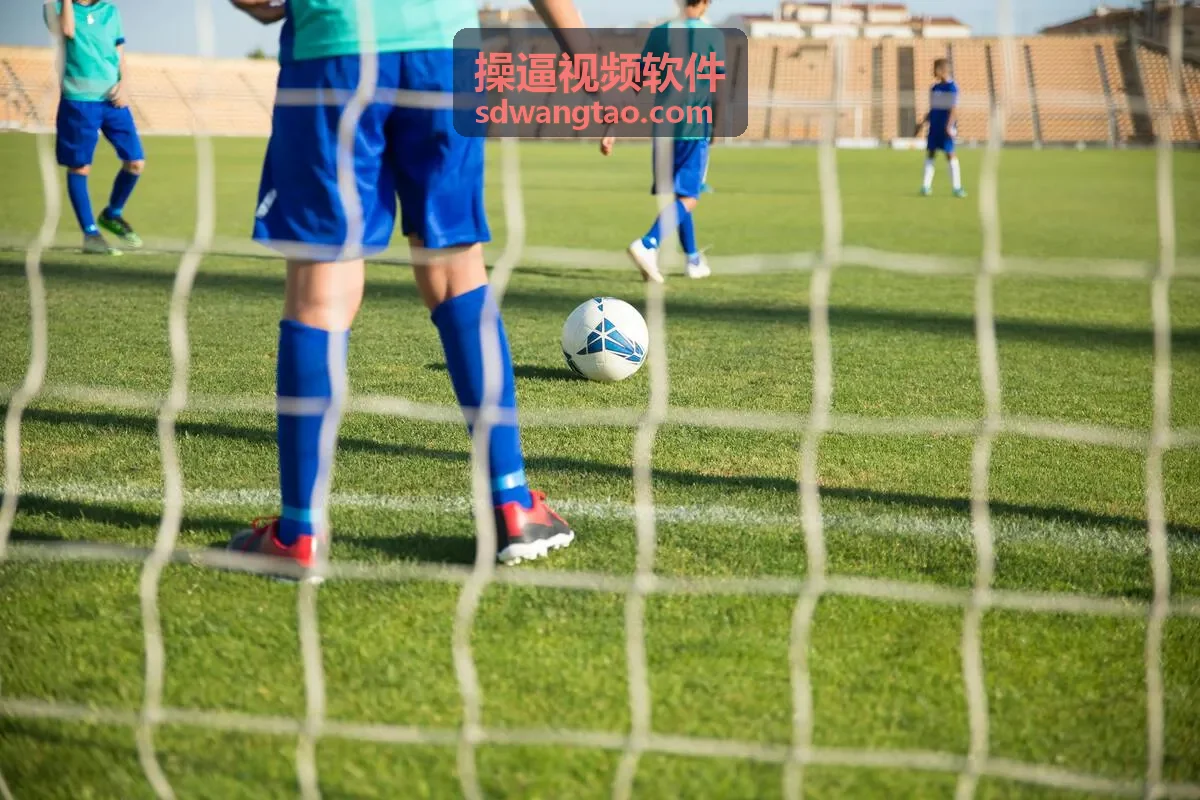 操逼视频软件会员专区场景